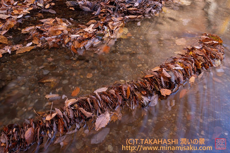 ../Images/7R251115 (133).jpg